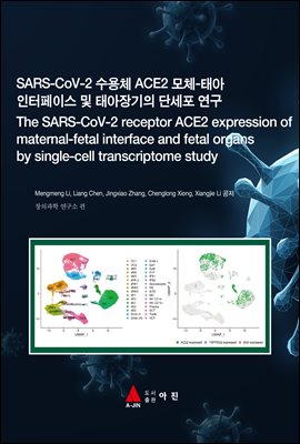 SARS-CoV-2 ü ACE2 ü-¾ ̽  ¾ ܼ (The SARS-CoV-2 receptor ACE2 expression of maternal-f