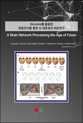 Simulink Ȱ ν   Ʈũ ó(A Brain Network Processing the Age of Faces)