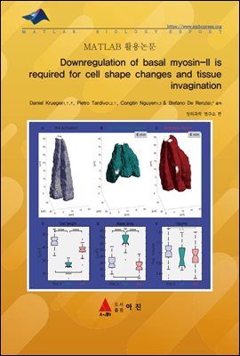 Downregulation of basal myosin-II is required for cell shape changes and tissue invagination