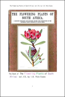 ī ȭ  Ǵ Ĺ 1 (The Flowering Plants of South Africa; vol.1/3, by I.B. Pole Evans)