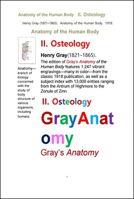 그레이 아나토미의, 제2권 골학 骨學 골해부학.Gray’s Anatomy, II. Osteology. by Henry Gray