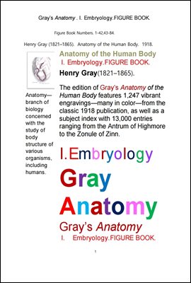 그레이아나토미 해부학의 제1권 발생학의 도해 그림책.Gray’s Anatomy,I. Embryology.FIGURE BOOK.by Henry Gray