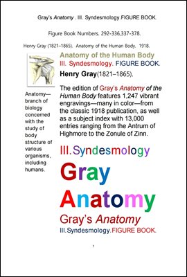׷ Ƴ, 3 δ  غ.  ׸å.Grays Anatomy . III. Syndesmology.FIGURE BOOK. by Henry Gray