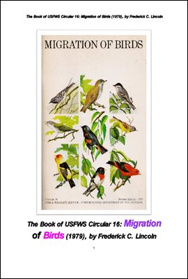 북미에서의 철새들의 이동. The Book of USFWS Circular 16: Migration of Birds (1979), by Frederick C. Lincoln