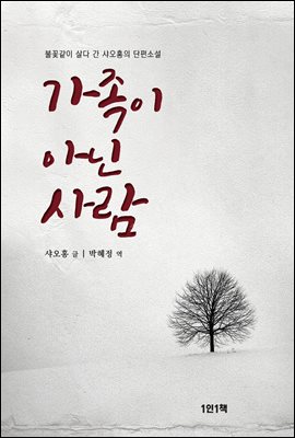 가족이 아닌 사람 : 불꽃같이 살다 간 샤오홍의 단편소설