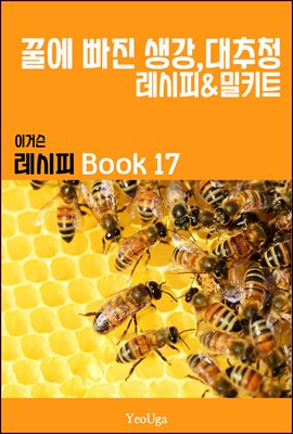 이거슨 레시피 BOOK 17 (꿀에 빠진 생강,대추청)