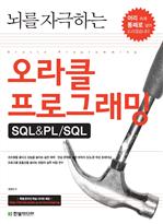  ڱϴ Ŭ α׷ SQL&PL/SQL